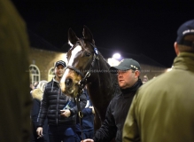 STUD GROOM LAURENCE CARLING OF NEW ENGLAND STUD LEADS LOT 1918 PEARLING INTO THE SALES RING FROM OUTSIDE BEFORE BEING SOLD FOR 2.4 MILLION GUINEAS THE SESSION TOPPER.TATTERSALLS NEWMARKET 4-12-18.©George Selwyn  07967 030722 email: george@georgeselwyn.co.uk Vat no:3308110 05
