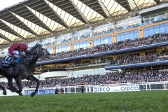 ROARING LION WINNG QU E 11 STAKES.ASCOT 20-10-18.Photo © George Selwyn +44 (0)7967 030722116 Wellington Parade Kent UK CT14 8AF.
