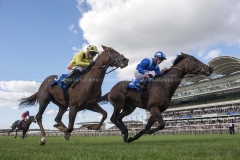 MUSTASHRY (RIGHT) WINS THE JOEL STAKES FROM ZABEEL PRINCE.NEWMARKET 28-9-18©George Selwyn  07967 030722 email: george@georgeselwyn.co.uk Vat no:3308110 05