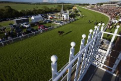 LOOSE HORSE GALLOPS PAST GRANDSTANDS TOWARDS STABLES AFTER UNSEATING JOCKY ON WAY TO START FOR THE 4TH RACE.GOODWOOD 21-6-19.Photo © George Selwyn +44 (0)7967 030722116 Wellington Parade Kent UK CT14 8AF.