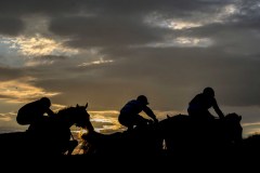 THREE UPSIDES AT 1/2 WAY IN THE LAST RACE OF DAY.HAYDOCK 18-2-17.Photo © George Selwyn +44 (0)7967 030722116 Wellington Parade Kent UK CT14 8AF.