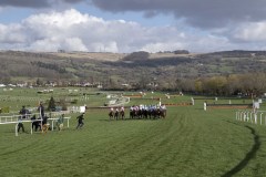 START OF RACE 3.CHELTENHAM 13-3-20.Photo © George Selwyn +44 (0)7967 030722116 Wellington Parade Kent UK CT14 8AF.