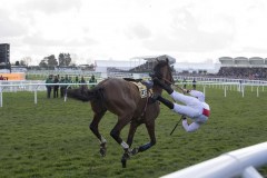 GOSHEN AND JAMIE MOORE CRASH OUT AT FINAL FLIGHT WITH RACE AT THEIR MERCY.CHELTENHAM 13-3-20.Photo © George Selwyn +44 (0)7967 030722116 Wellington Parade Kent UK CT14 8AF.