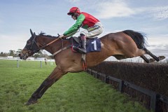 GRAND SANCY AND SAM TWISTON-DAVIES LEAD JUMPING THE SECOND LAST FENCE ON WAY TO WINNING NOVICES CHASE.FONTWELL 23-2-20.Photo © George Selwyn +44 (0)7967 030722116 Wellington Parade Kent UK CT14 8AF.