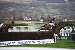 IMPERIAL AURA JUMPS LAST AHEAD OF GALVIB (LEFT) ON WAY TO WINNINGCHELTENHAM 9-3-20.©George Selwyn  07967 030722 email: george@georgeselwyn.co.uk Vat no:3308110 05