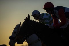 HORSES AND JOCKEYS RACING PAST THE STANDS ON FIRST CIRCUIT IN THE CONCLUDING “BUMPER”.HUNTINDON 6-2-20.Photo © George Selwyn +44 (0)7967 030722116 Wellington Parade Kent UK CT14 8AF.