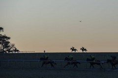 HORSES CANTER UP “SIDE HILL” IN TOP OF PICTURE, WHILE OTHERS CANTER UP THE ALL WEATHER ON WARREN HILL (FOREGROUND).NEWMARKET 6-2-20.Photo © George Selwyn +44 (0)7967 030722116 Wellington Parade Kent UK CT14 8AF.