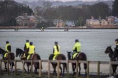 HORSES TRAINING 7.15AM.NEWMARKET 6-2-20.Photo © George Selwyn +44 (0)7967 030722116 Wellington Parade Kent UK CT14 8AF.