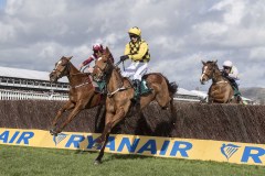 SAMCRO (LEFT) JUMPS LAST WITH MELON AND FAUGHEEN (RIGHT) ON WAY TO WINNING.CHELTENHAM 12-3-20.©George Selwyn  07967 030722 email: george@georgeselwyn.co.uk Vat no:3308110 05