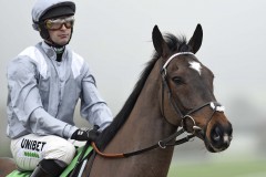 SANTINI A NICO DE BOINVILLE LOOK AT FIRST FENCE BEFORE WINS THE COTSWOLD CHASECHELTENHAM 25-1-20©George Selwyn  07967 030722 email: george@georgeselwyn.co.uk Vat no:3308110 05