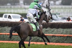 SANTINI (4)FOLLOWS BRISTOL DE MAI JUMPING FIRST FENCE ON WAY TO WINNING THE COTSWOLD CHASECHELTENHAM 25-1-20©George Selwyn  07967 030722 email: george@georgeselwyn.co.uk Vat no:3308110 05