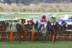SIRE DU BERLAIS (RIGHT WHITE CAP JUMPS THE LAST FLIGHT BEHIND THE STORYTELLER (YELLOW SLEEVES).TOUT EST PERMIS ªGREYº WAS THIRD.CHELTENHAM 11-3-20.Photo © George Selwyn +44 (0)7967 030722116 Wellington Parade Kent UK CT14 8AF.