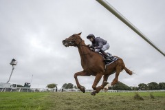 Derby day at Epsom 2020