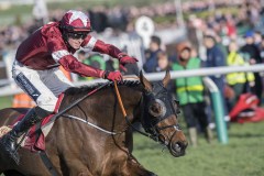 TIGER ROLL AND KEITH DONOGHUE FINISHING SECOND IN CROSS COUNTRY.CHELTENHAM 11-3-20.Photo © George Selwyn +44 (0)7967 030722116 Wellington Parade Kent UK CT14 8AF.