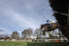 WILLIAM BONNEY (RIGHT) JUMPS THE LAST FLIGHT A DISTANT THIRD BEHIND QUEL DESTIN AND THOMAS DARBY (BLUE COLOURS) BEFORE GETTING UP TO WIN THE NATIONAL SPIRIT HURDLE CLOSE HOME.FONTWELL 23-2-20.Photo © George Selwyn +44 (0)7967 030722116 Wellington Parade Kent UK CT14 8AF.