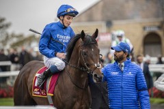 Ancient Wisdom & William Buick leave the parade ring beofore winning the Futurity Trophy.Doncaster 28-10-23.Photo © George Selwyn +44 (0)7967 030722116 Wellington Parade Kent UK CT14 8AF.
