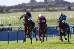 City Of Troy & Ryan Moore impressive winners of the Dewhurst Stakes.Newmarket 14-10-23.Photo © George Selwyn +44 (0)7967 030722116 Wellington Parade Kent UK CT14 8AF.