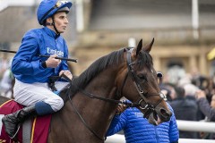 Ancient Wisdom & William Buick leave the parade ring beofore winning the Futurity Trophy.Doncaster 28-10-23.Photo © George Selwyn +44 (0)7967 030722116 Wellington Parade Kent UK CT14 8AF.