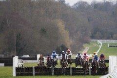 4.10. half way jumping first hurdle in home straight.Lingfield Surrey Uk 20-2-23.Photo © George Selwyn +44 (0)7967 030722116 Wellington Parade Kent UK CT14 8AF.