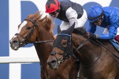 Trawlerman and Dettori run down Kyprios & Ryan moore (left) close home to win the Long Distance Cup.Ascot 21-10-23.Photo © George Selwyn +44 (0)7967 030722116 Wellington Parade Kent UK CT14 8AF.