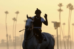 SANTA ANITA TRACKWORK
