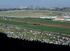 FLEMINGTON