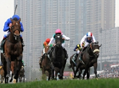HONG KONG INTERNATIONAL RACES TODAY IN HONG KONG