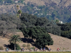 SANTA ANITA