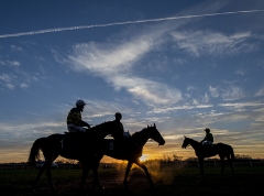 RUNNERS IN THE FINAL RACE WALK BACK TO THE STANDS AFTER THE RACE AS THE SUN SETS.HUNTINGDON 4-12-16.Photo Â© George Selwyn +44 (0)7967 030722116 Wellington Parade Kent UK CT14 8AF.