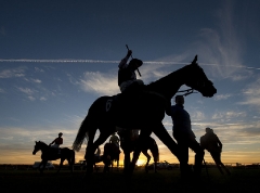 RUNNERS RETURN TO THE GRANDSTANDS AFTER THE RUNNING OF THE FINAL RACE OF THE DAY THE NOV HCAP CHASE AS THE SUN SETS.HUNTINGDON 4-12-16.Photo Â© George Selwyn +44 (0)7967 030722116 Wellington Parade Kent UK CT14 8AF.