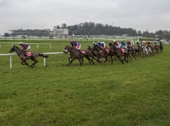 SANDOWN