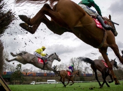 RAILWAY FENCE SANDOWN