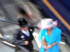 ASCOT
