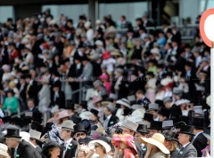 MISC ASCOT